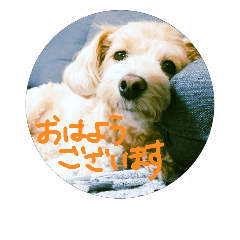 [LINEスタンプ] 犬三昧