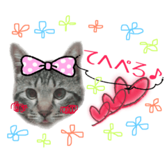 [LINEスタンプ] ねこねこ☆第2弾