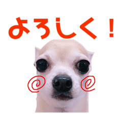 [LINEスタンプ] 久保家の愉快な仲間たち