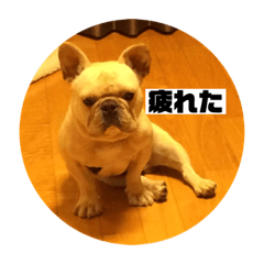 [LINEスタンプ] とらじおだ