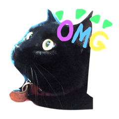 [LINEスタンプ] 黒猫ネロ