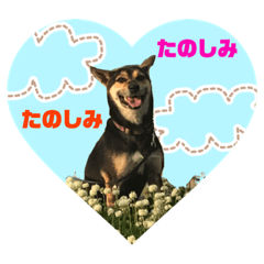 [LINEスタンプ] はっぴーなっつちゃん