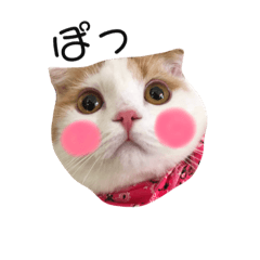 [LINEスタンプ] ねこメルちゃん