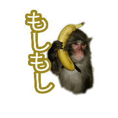 [LINEスタンプ] リアルな日本猿スタンプ 戦豆の猿まわし4