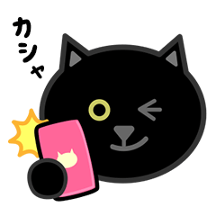 [LINEスタンプ] かわいい黒猫の顔の画像（メイン）