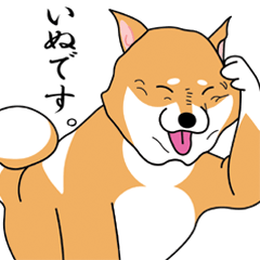 [LINEスタンプ] うきうき！しば犬日常会話