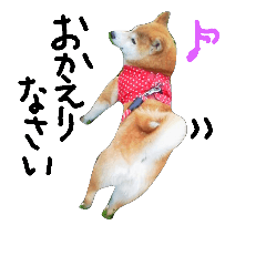 [LINEスタンプ] 柴々3