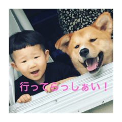 [LINEスタンプ] 家族犬の画像（メイン）