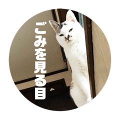 [LINEスタンプ] 猫のスタンプパート4