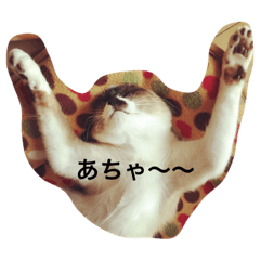 [LINEスタンプ] グリの毎日の画像（メイン）