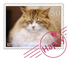 [LINEスタンプ] 大人も使える 切手風 福々猫写真スタンプの画像（メイン）