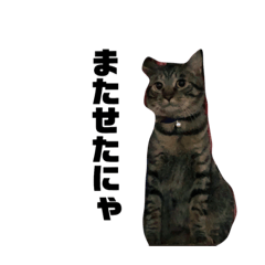 [LINEスタンプ] ホクトすたんぷ2