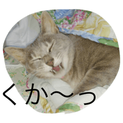 [LINEスタンプ] ジールとJJ