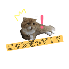 [LINEスタンプ] きなこの日々