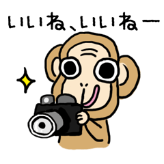[LINEスタンプ] フォト猿の画像（メイン）