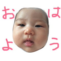 [LINEスタンプ] ひなちゃん3ヶ月の画像（メイン）
