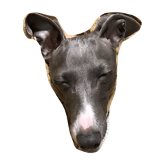 [LINEスタンプ] 高森家のイケメン犬