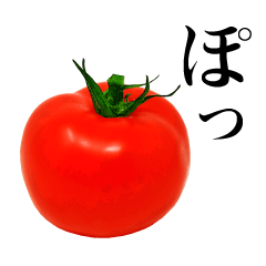 [LINEスタンプ] 毎日便利に使える渋くてかわいいお野菜たち