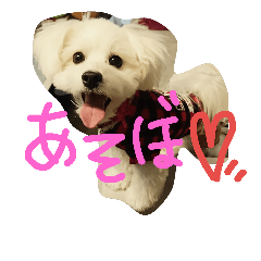 [LINEスタンプ] スピップー   も こ