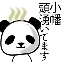 [LINEスタンプ] 小幡■面白パンダ名前スタンプの画像（メイン）