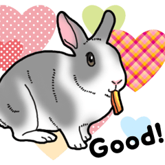 [LINEスタンプ] もふもふウサギ 5 #ハートフルの画像（メイン）