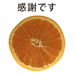 [LINEスタンプ] オレンジ半分と敬語