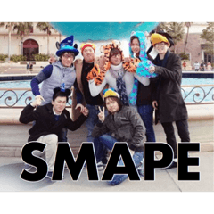 [LINEスタンプ] SMAPEの日常