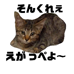 [LINEスタンプ] 銚子弁 犬と猫スタンプ