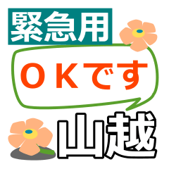 [LINEスタンプ] 取急ぎ返信用【山越,やまこし】専用