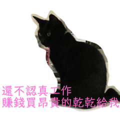 [LINEスタンプ] カリン尾の黒い猫の日常