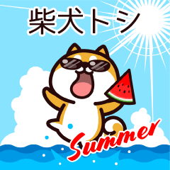 [LINEスタンプ] 柴犬トシの夏の画像（メイン）