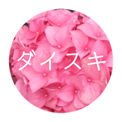 [LINEスタンプ] 恋する紫陽花
