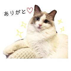 [LINEスタンプ] ツンデレ猫ベル様③