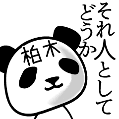 [LINEスタンプ] 柏木■面白パンダ名前スタンプ