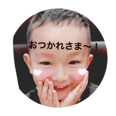 [LINEスタンプ] ことりひと