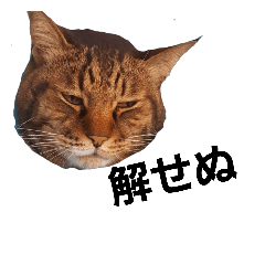 [LINEスタンプ] すめし君