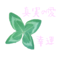 [LINEスタンプ] 草花の花言葉の画像（メイン）